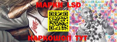 индика Новодвинск