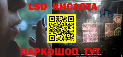индика Новодвинск