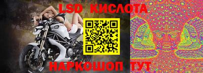 индика Новодвинск