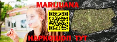 индика Новодвинск