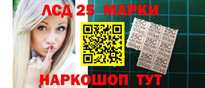 индика Новодвинск