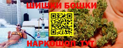 индика Новодвинск