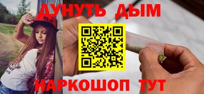 индика Новодвинск