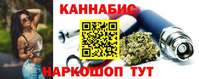 индика Новодвинск