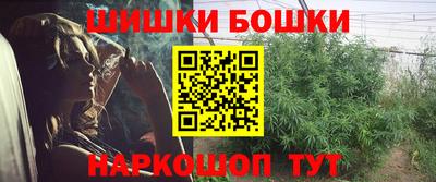 ПСИЛОЦИБИНОВЫЕ ГРИБЫ Новозыбков