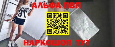 индика Новодвинск