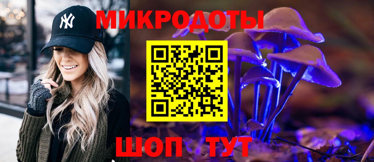 Псилоцибиновые грибы прущие грибы Тамбов