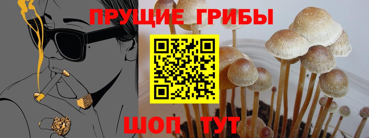 Галлюциногенные грибы Cubensis  Вход с VPN  даркнет сайт  Тамбов 